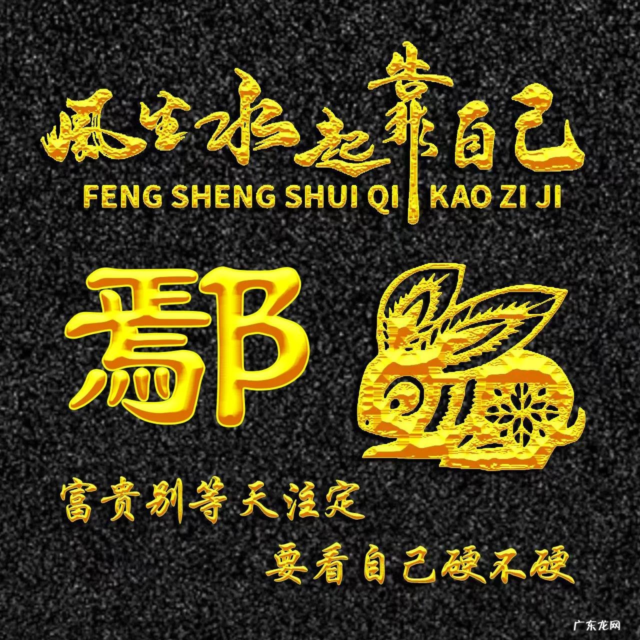 属兔的人用什么头像 属兔人风水最好的头像