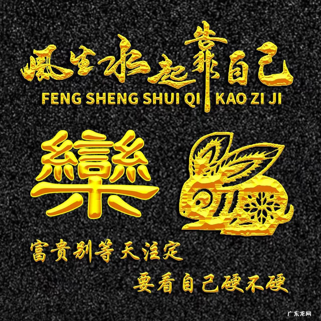 属兔的人用什么头像 属兔人风水最好的头像