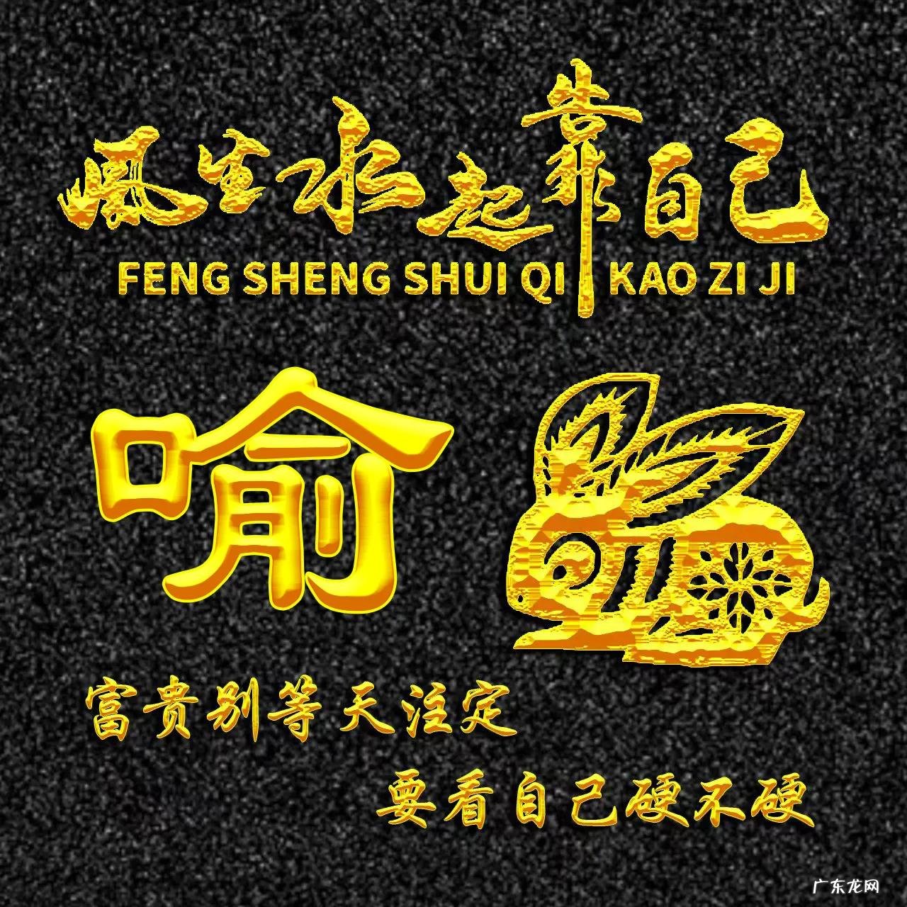 属兔的人用什么头像 属兔人风水最好的头像