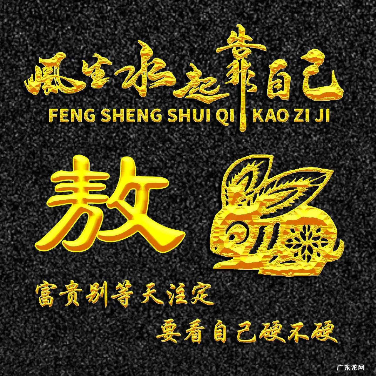 属兔的人用什么头像 属兔人风水最好的头像