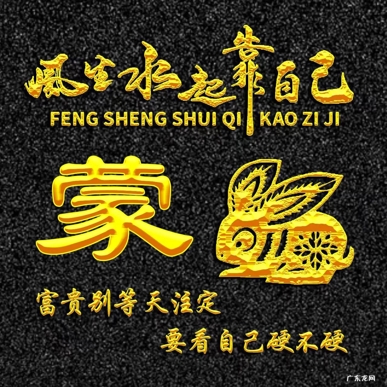 属兔的人用什么头像 属兔人风水最好的头像