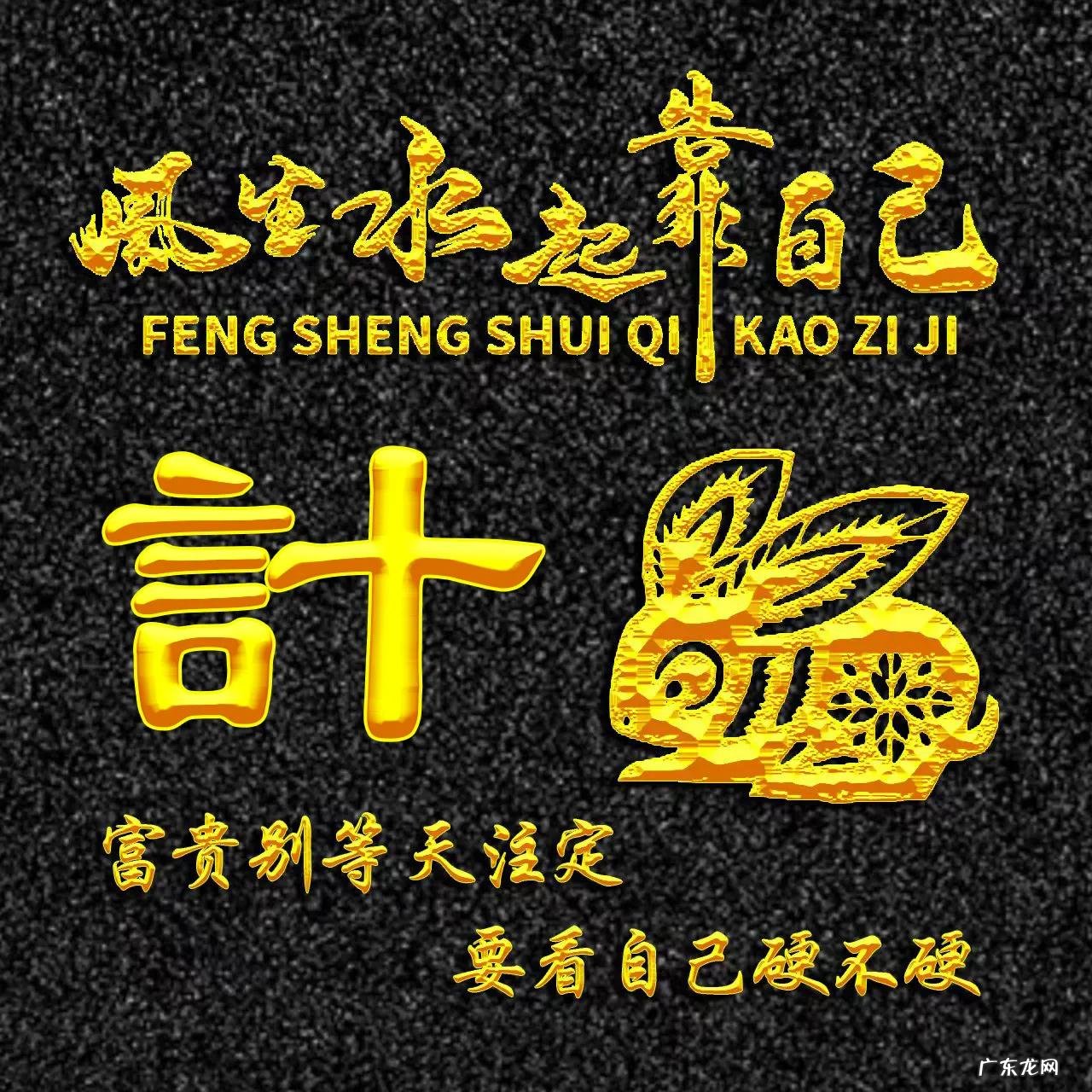 属兔的人用什么头像 属兔人风水最好的头像