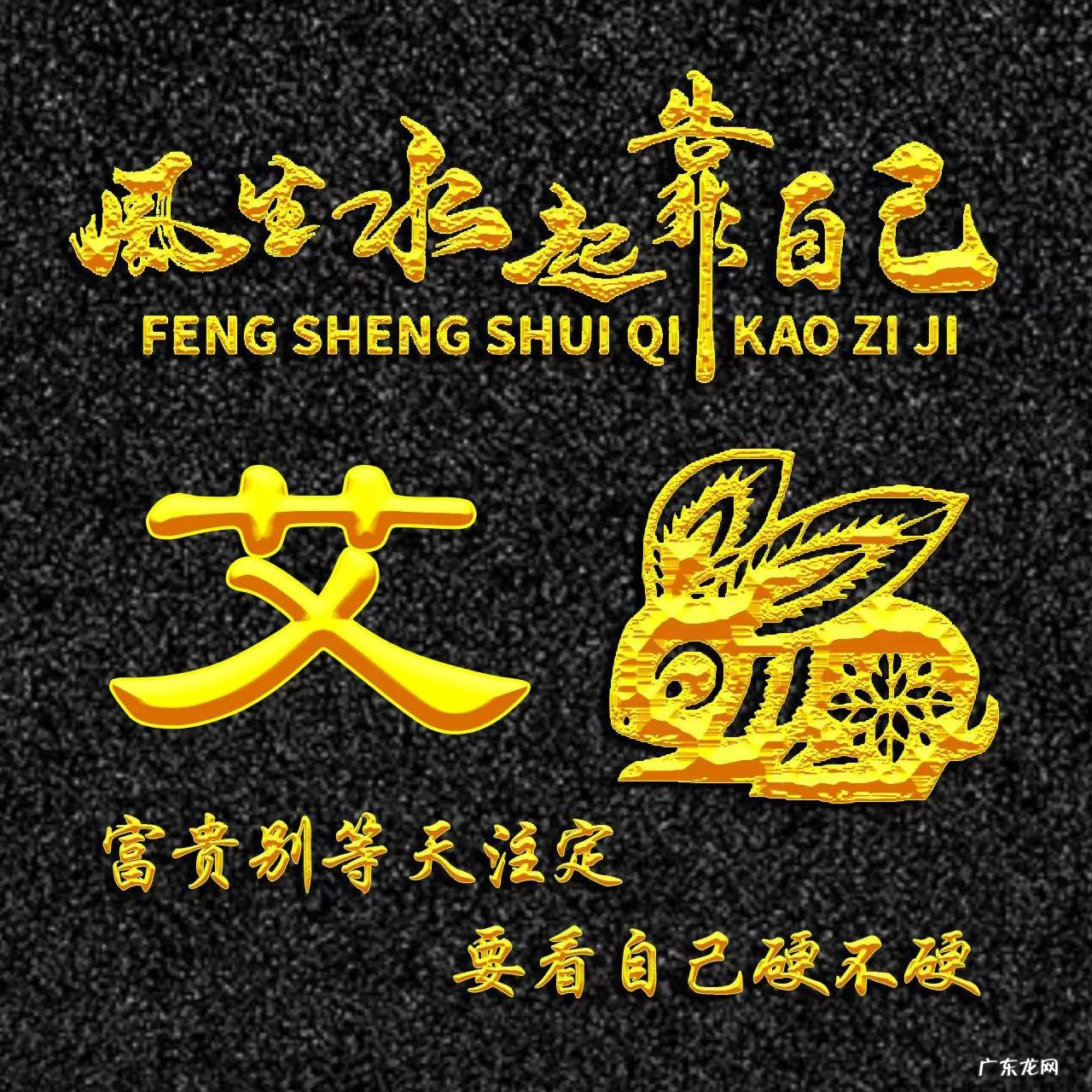 属兔的人用什么头像 属兔人风水最好的头像