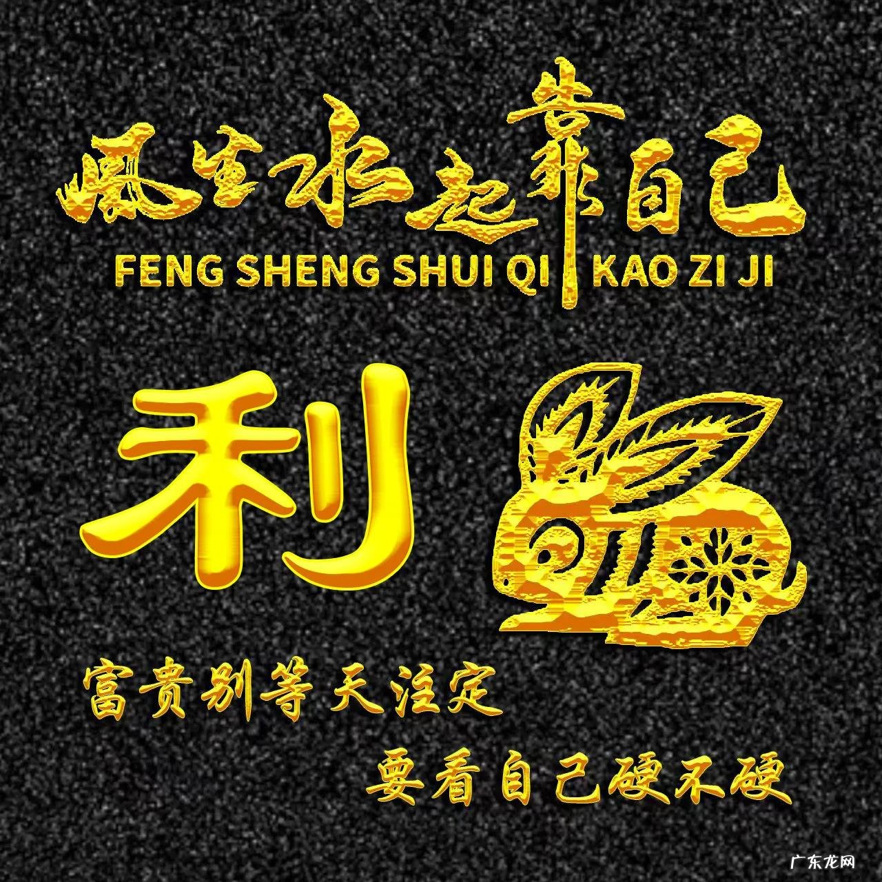 属兔的人用什么头像 属兔人风水最好的头像