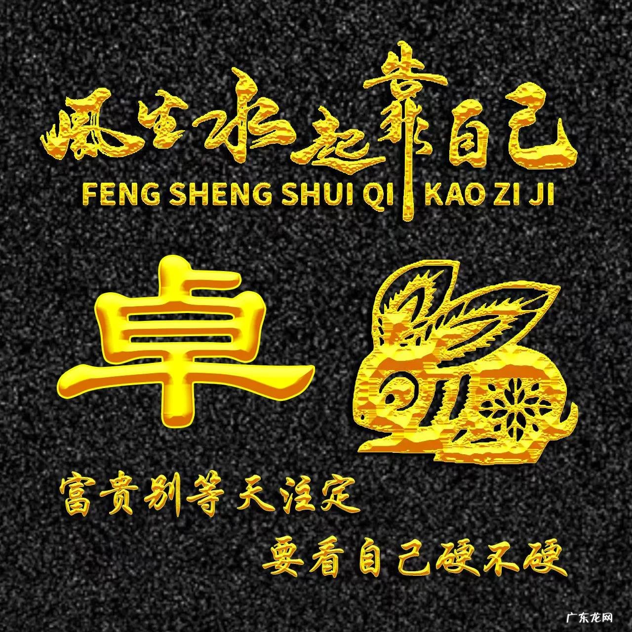 属兔的人用什么头像 属兔人风水最好的头像