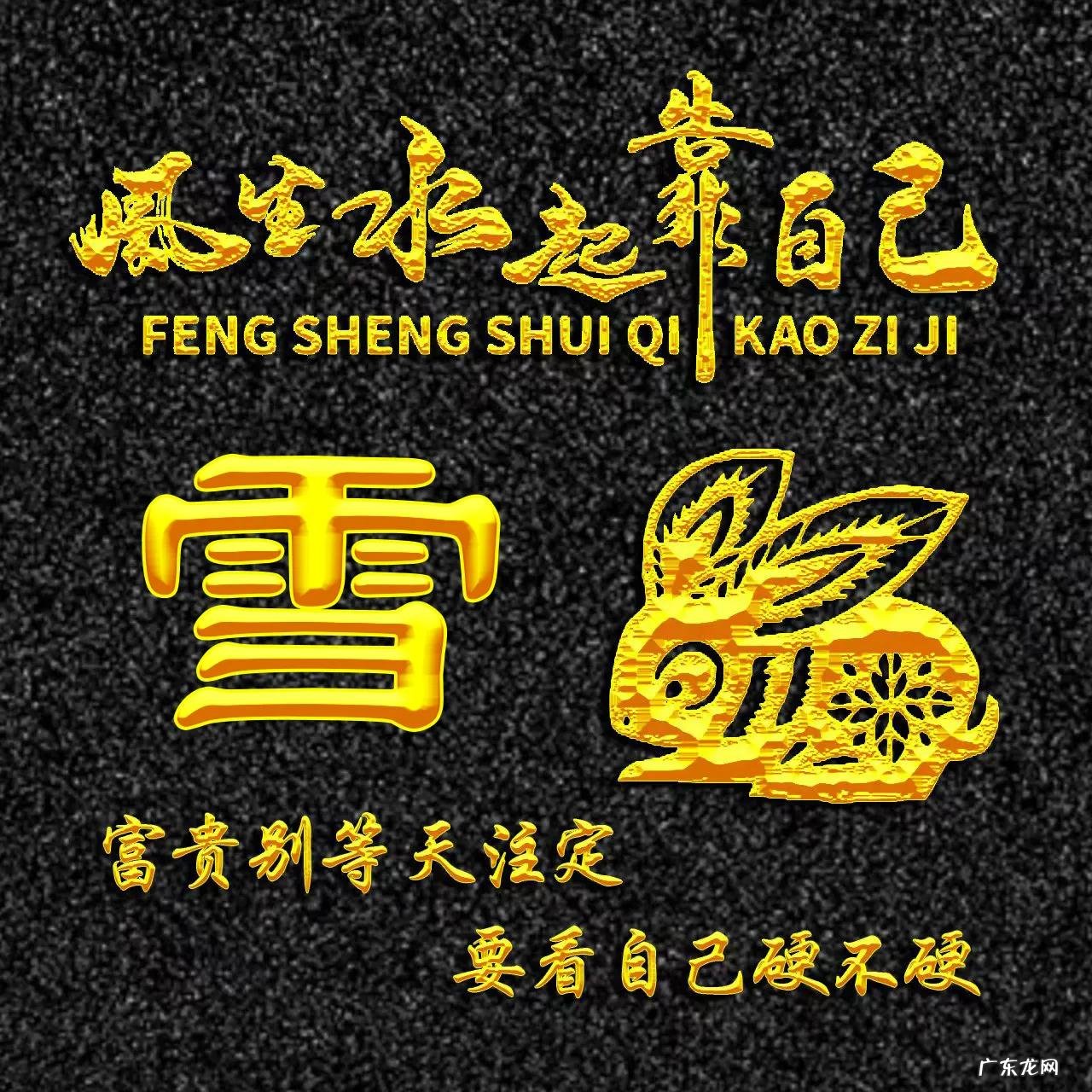 属兔的人用什么头像 属兔人风水最好的头像