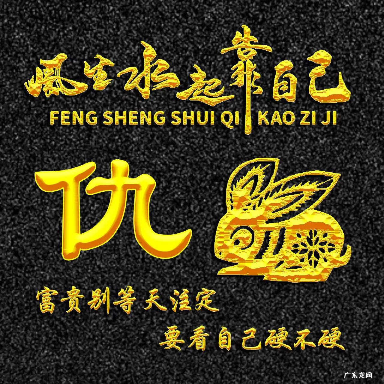 属兔的人用什么头像 属兔人风水最好的头像