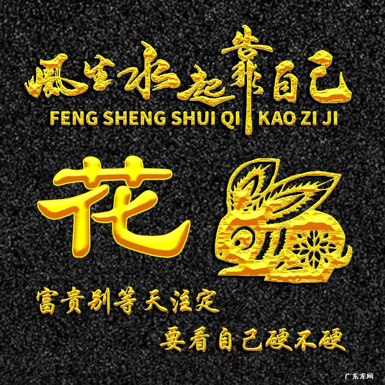 属兔的人用什么头像 属兔人风水最好的头像