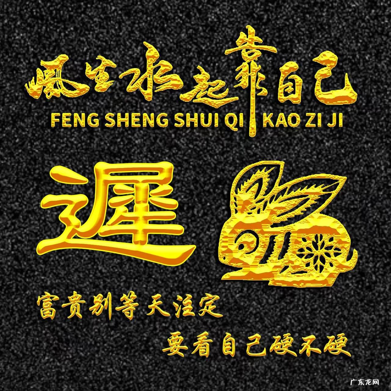 属兔的人用什么头像 属兔人风水最好的头像