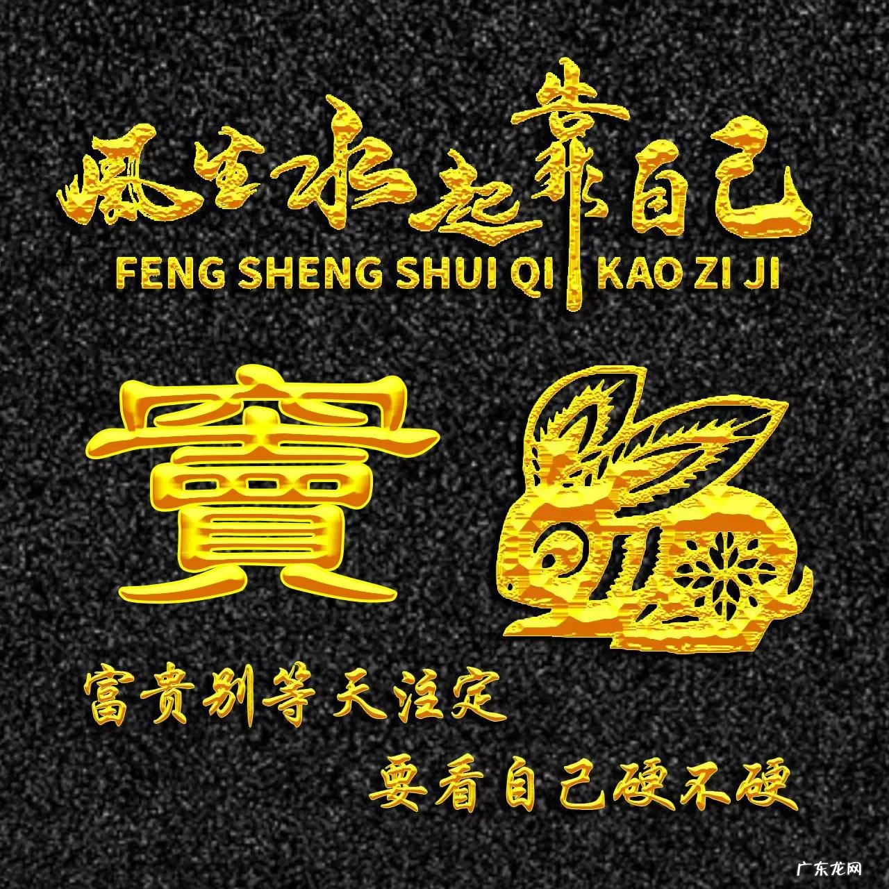 属兔的人用什么头像 属兔人风水最好的头像