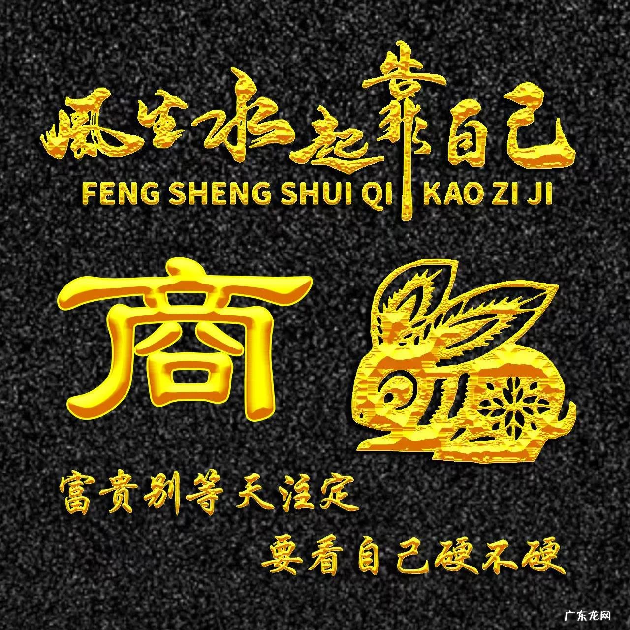 属兔的人用什么头像 属兔人风水最好的头像