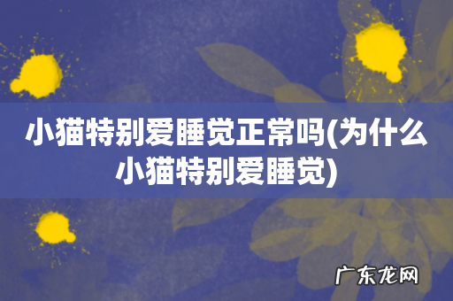 为什么小猫特别爱睡觉 小猫特别爱睡觉正常吗