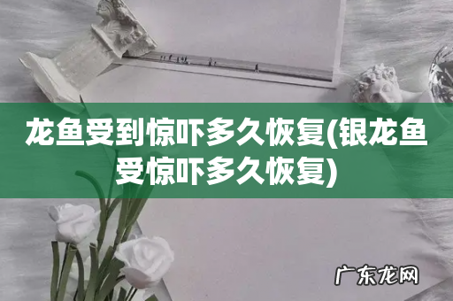 银龙鱼受惊吓多久恢复 龙鱼受到惊吓多久恢复