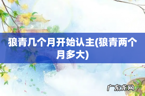 狼青两个月多大 狼青几个月开始认主