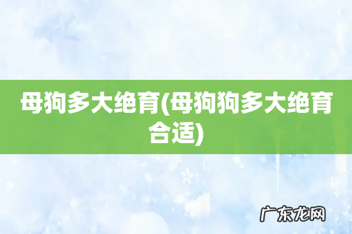 母狗狗多大绝育合适 母狗多大绝育