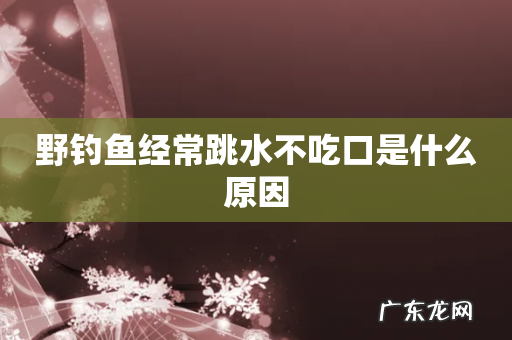 野钓鱼经常跳水不吃口是什么原因
