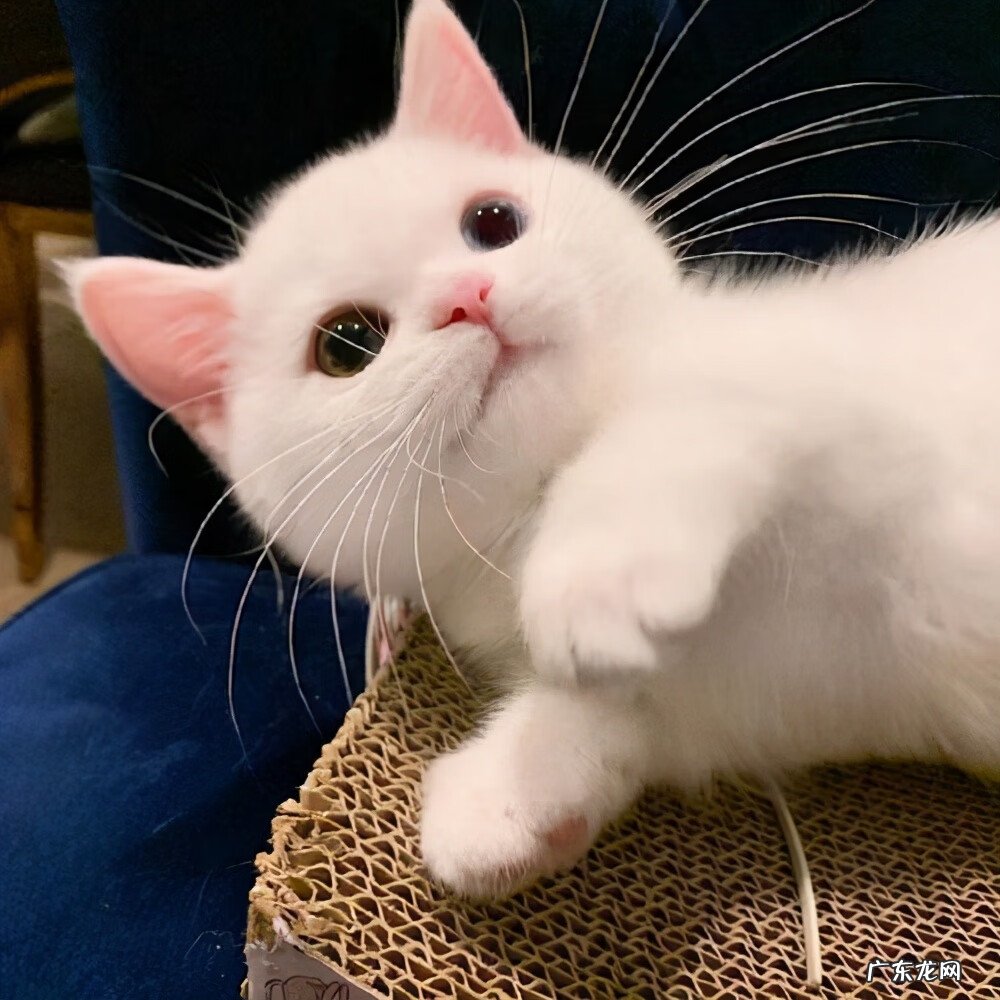 起个风水好的网名 有助于偏财的网名