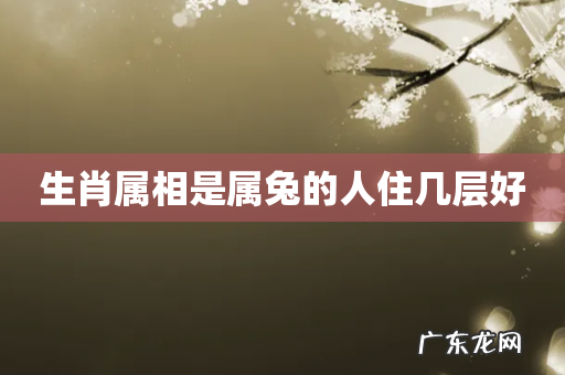 生肖属相是属兔的人住几层好