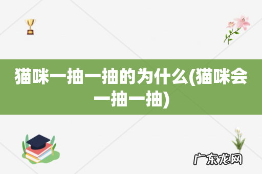 猫咪会一抽一抽 猫咪一抽一抽的为什么