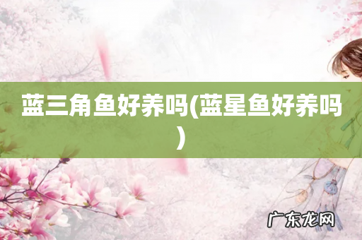 蓝星鱼好养吗 蓝三角鱼好养吗