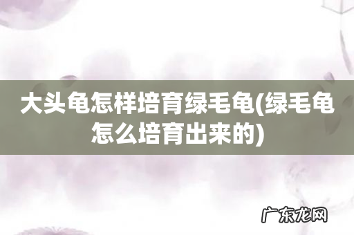 绿毛龟怎么培育出来的 大头龟怎样培育绿毛龟