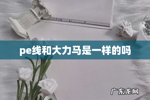 pe线和大力马是一样的吗