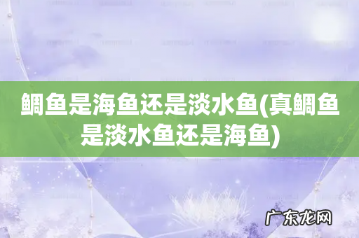 真鲷鱼是淡水鱼还是海鱼 鲷鱼是海鱼还是淡水鱼