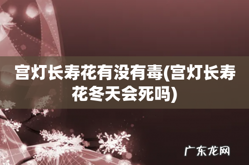 宫灯长寿花冬天会死吗 宫灯长寿花有没有毒