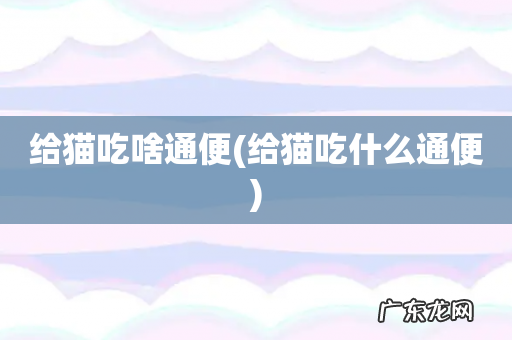 给猫吃什么通便 给猫吃啥通便