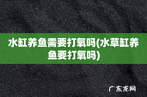 水草缸养鱼要打氧吗 水缸养鱼需要打氧吗