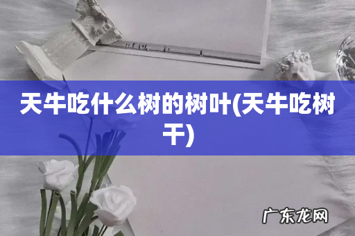 天牛吃树干 天牛吃什么树的树叶