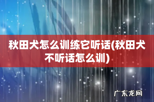 秋田犬不听话怎么训 秋田犬怎么训练它听话