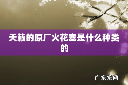 天籁的原厂火花塞是什么种类的