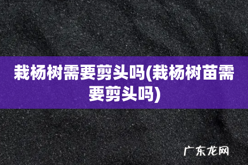 栽杨树苗需要剪头吗 栽杨树需要剪头吗