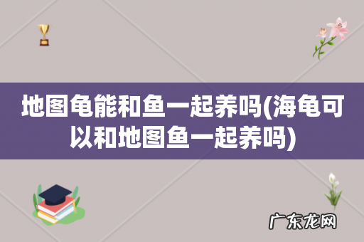 海龟可以和地图鱼一起养吗 地图龟能和鱼一起养吗