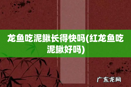红龙鱼吃泥鳅好吗 龙鱼吃泥鳅长得快吗