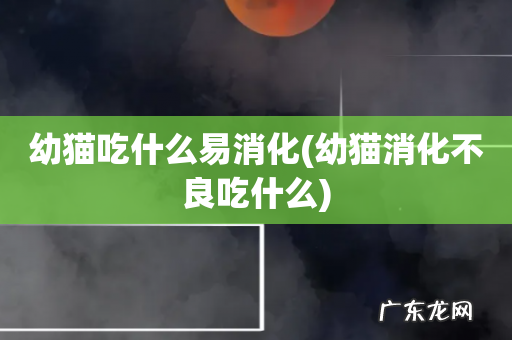 幼猫消化不良吃什么 幼猫吃什么易消化