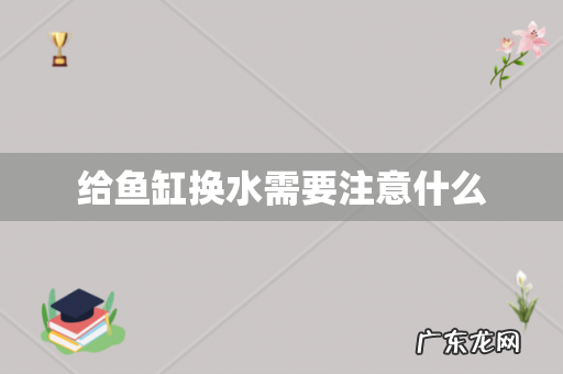 给鱼缸换水需要注意什么