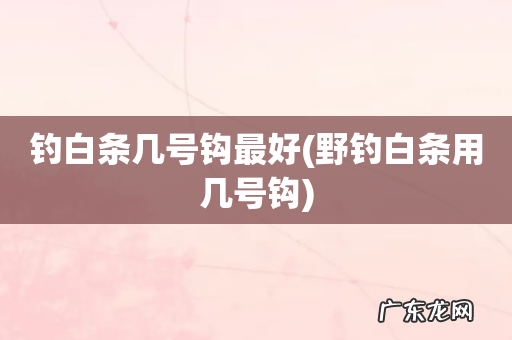 野钓白条用几号钩 钓白条几号钩最好