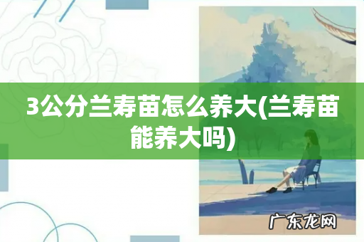 兰寿苗能养大吗 3公分兰寿苗怎么养大