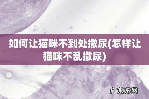 怎样让猫咪不乱撒尿 如何让猫咪不到处撒尿