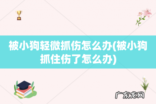 被小狗抓住伤了怎么办 被小狗轻微抓伤怎么办