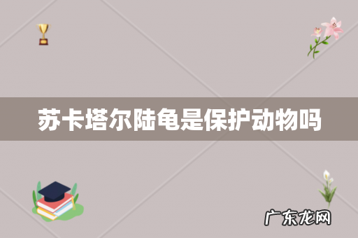 苏卡塔尔陆龟是保护动物吗