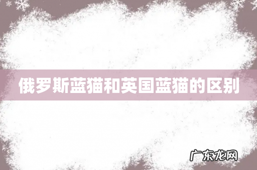 俄罗斯蓝猫和英国蓝猫的区别