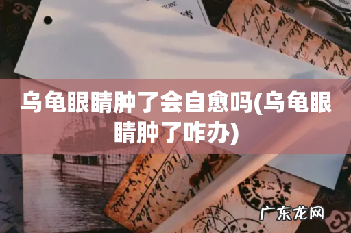 乌龟眼睛肿了咋办 乌龟眼睛肿了会自愈吗