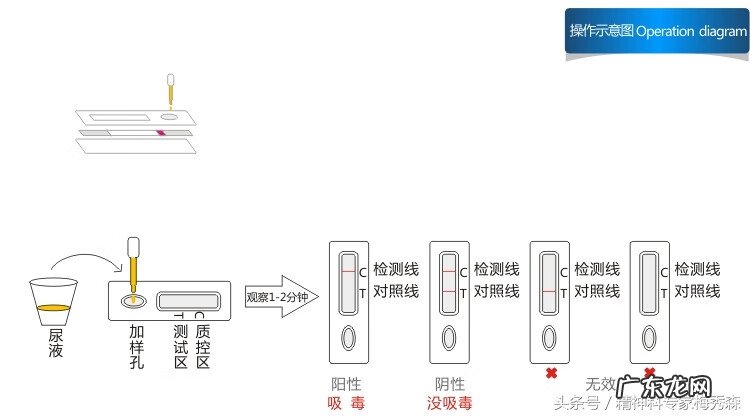 试纸两道杠图片