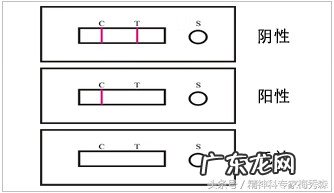 试纸两道杠图片