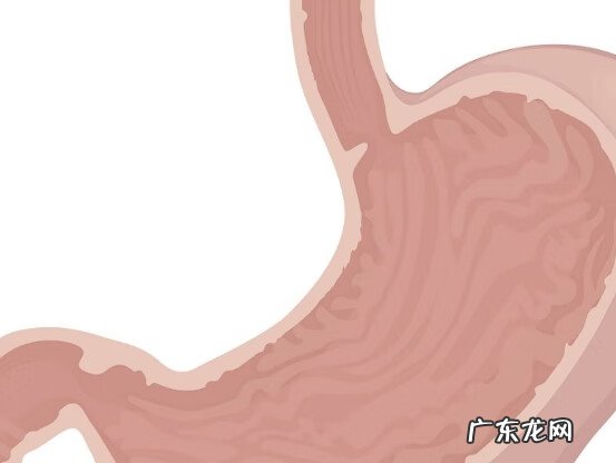 排名第一的保健品 养生保健品有哪些