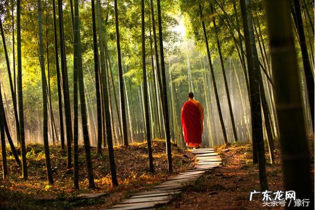 黑色的石头是什么石 黑石头风水讲究