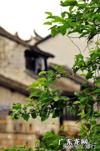 黑色的石头是什么石 黑石头风水讲究